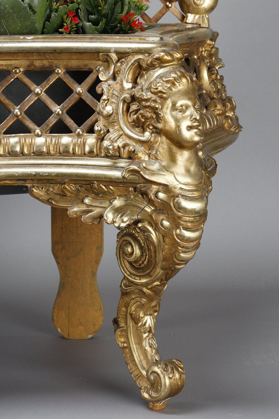 Louis XV Style Carved And Gilt Wood Planter photo furniture
