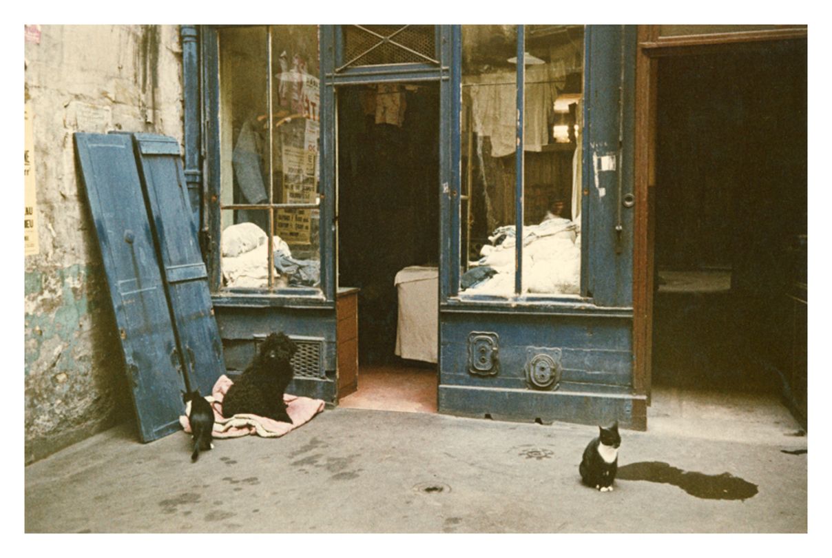 Parisian Blue 10x12" Archival Pigment Print