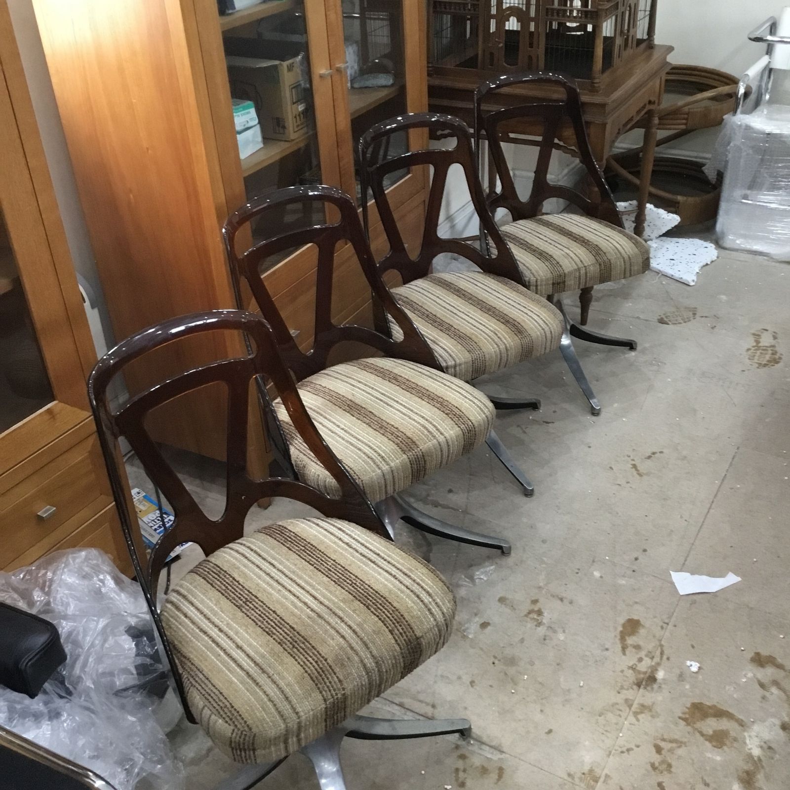 This Lovely Set Of Grafton W1s Stamped Est 4001 Model Dining Chairs Circa 1960. photo for sale