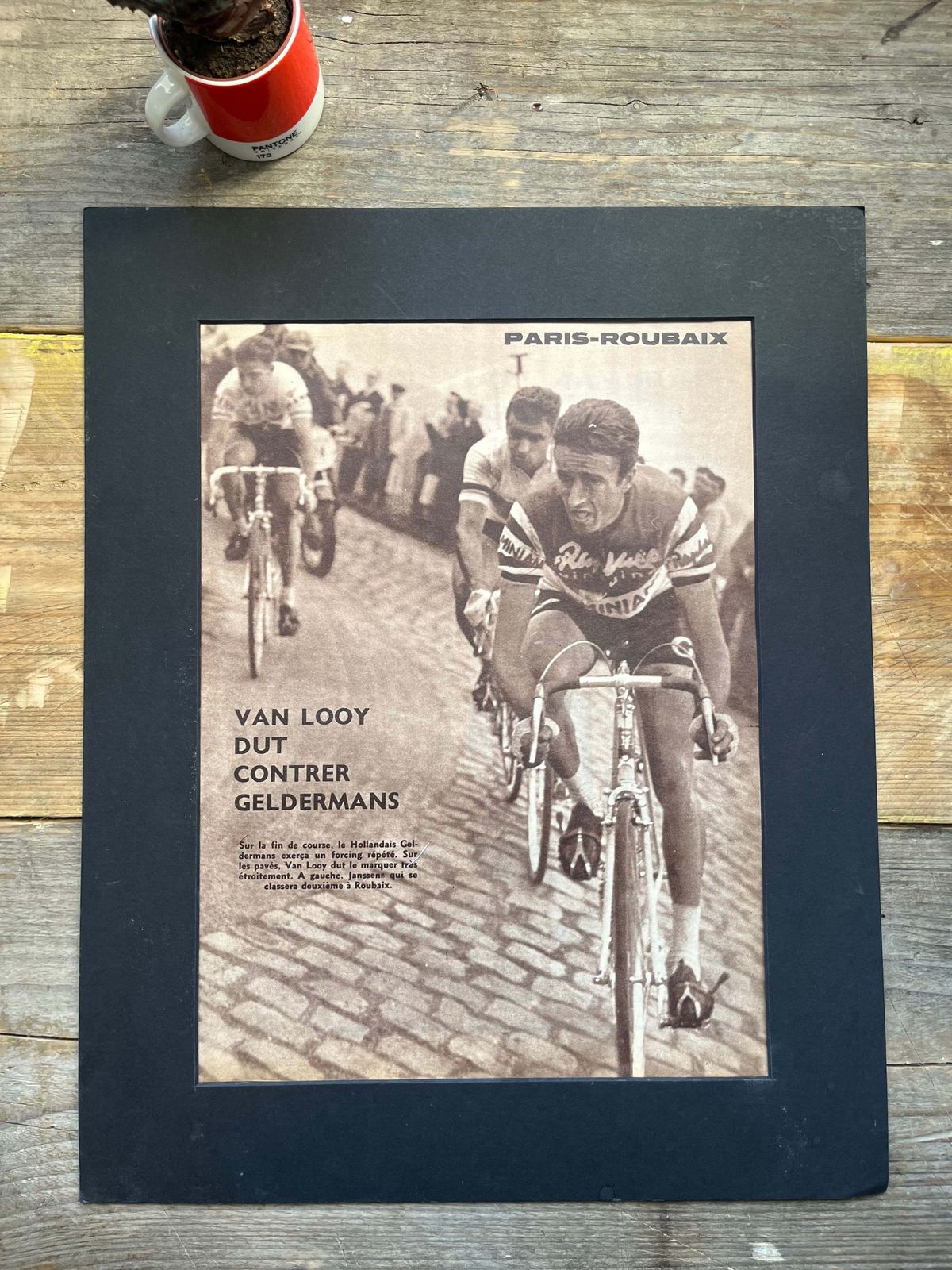 Paris Roubaix Vintage Cycling Print 1959 Rik Van Looy photo 103.0