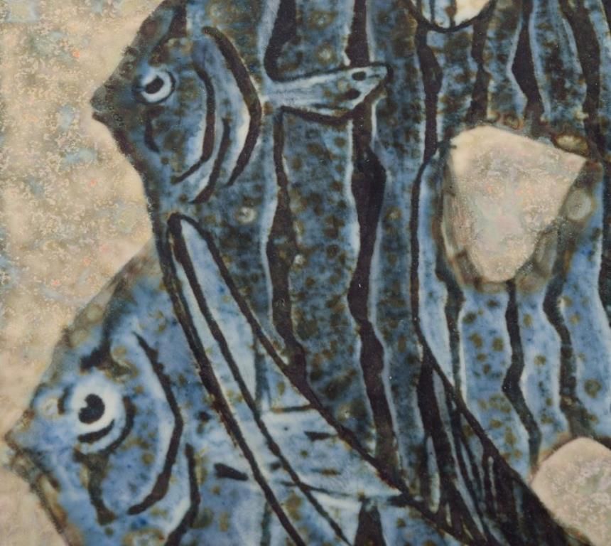 Meissen, Germany. Wall Plaque In Ceramics. Featuring A Fish Motif. photo 391.0