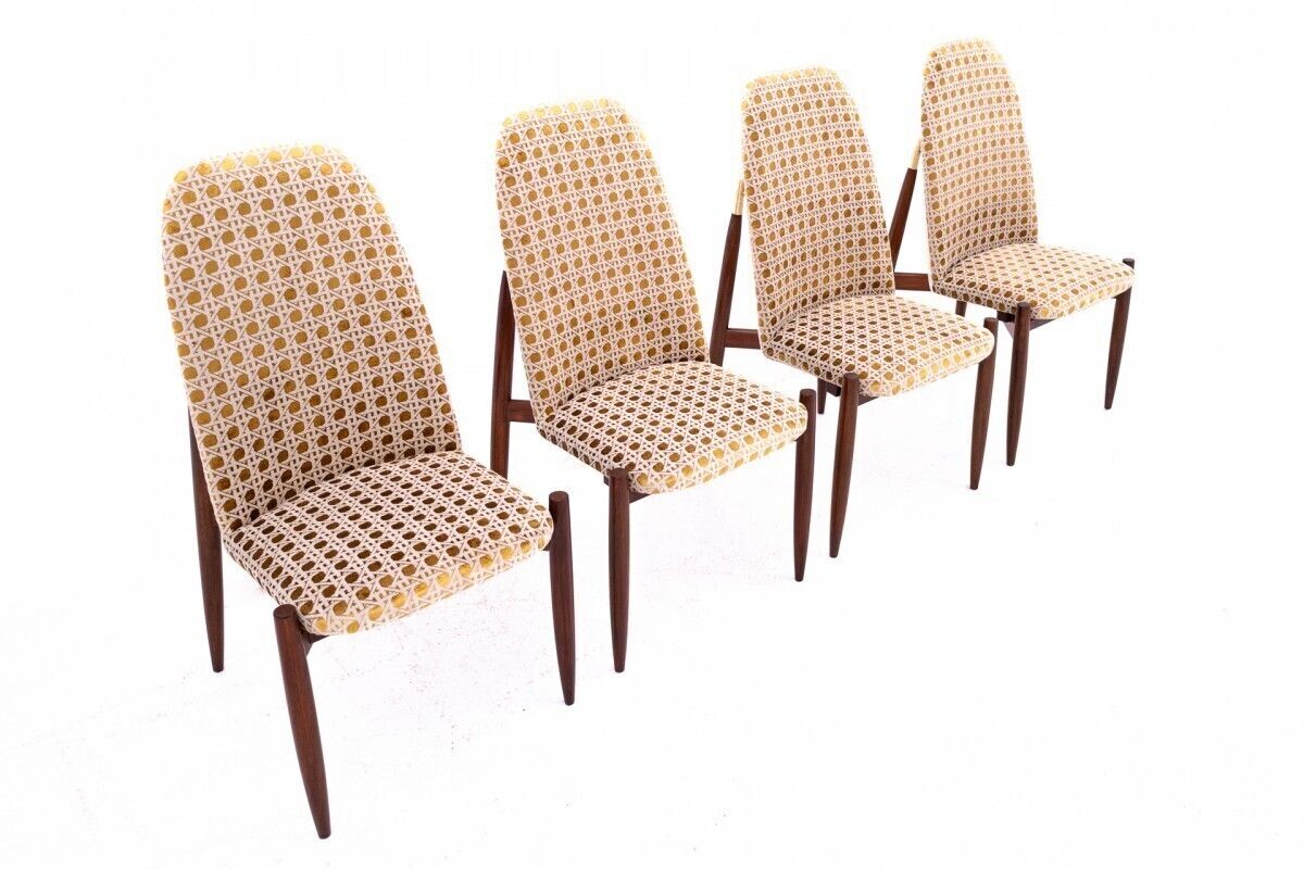 Furniture Set Of Art Deco Chairs, Czechoslovakia, 1950s. After Renovation. photo