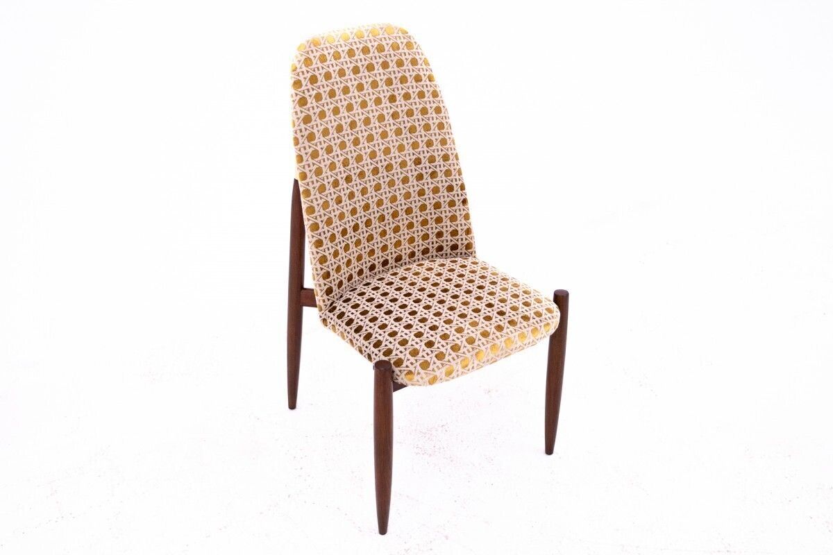 1200.0 Set Of Art Deco Chairs, Czechoslovakia, 1950s. After Renovation. photo