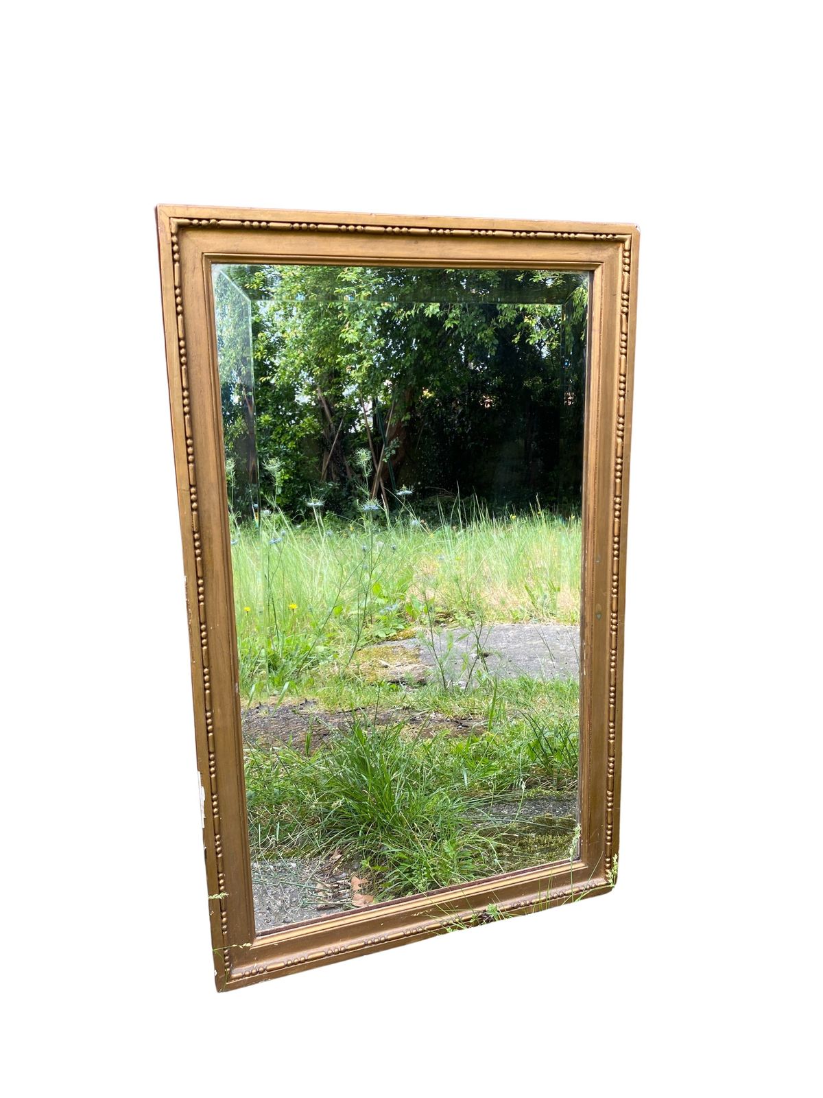 Louis XVI Style Gilded Wood Bevelled Mirror   45 X 72 Cm
