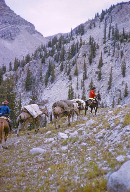 Toni Frissell 'A Pack Trip In Wyoming' Unframed Archival Pigment Print