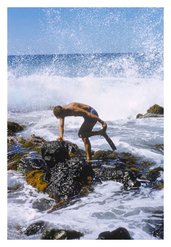 Toni Frissell 'Hawaiian Scenes' Unframed Archival Pigment Print photo furniture