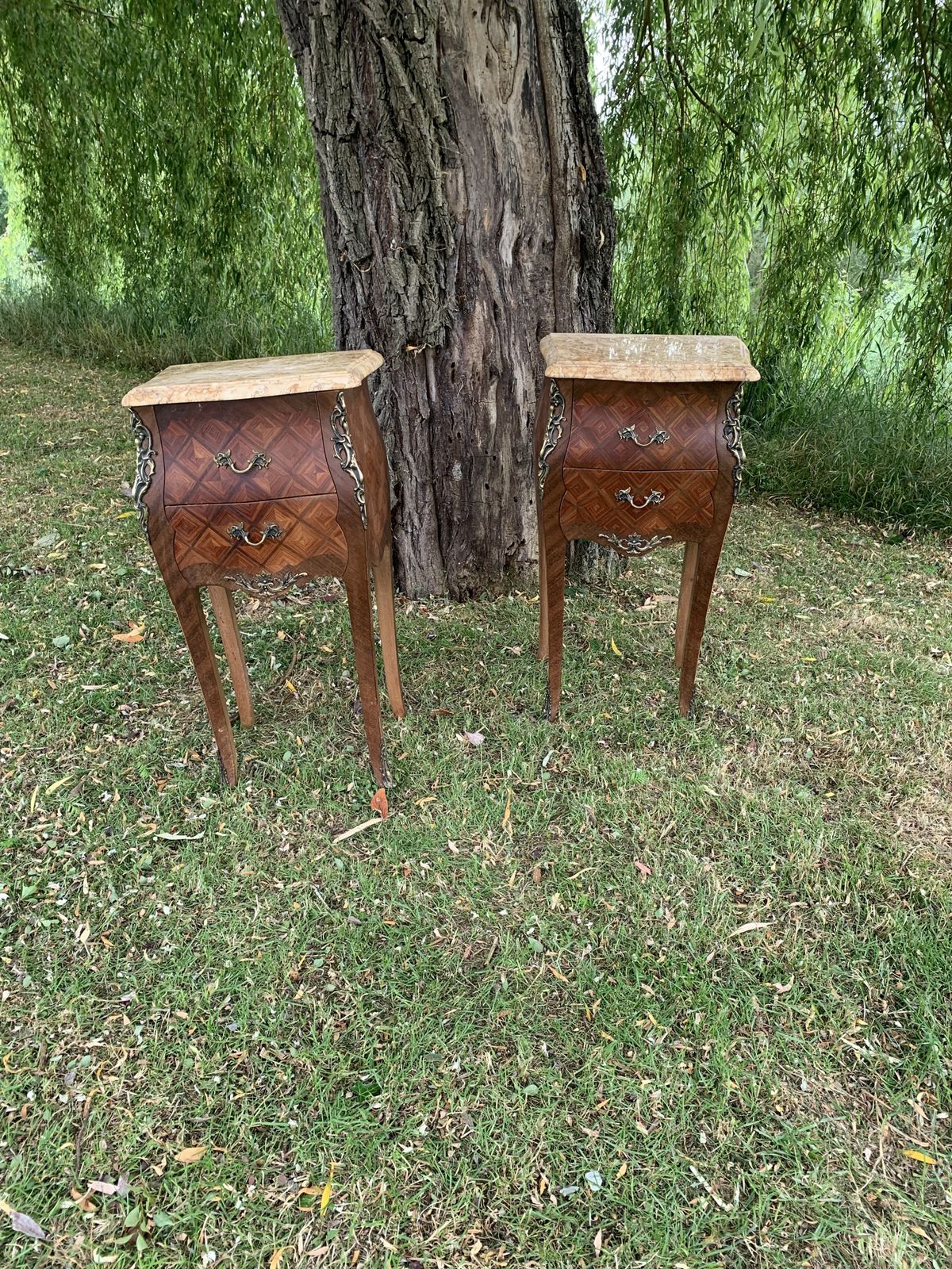 A Pair Of French Rosewood Bedside Tables photo Furniture