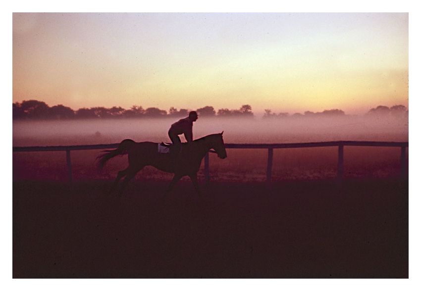 Toni Frissell 'Morning Training At Saratago' Unframed Archival Pigment Print photo furniture