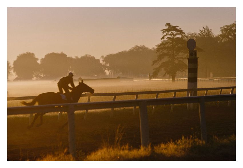 Toni Frissell 'Morning Training At Saratago' Unframed Archival Pigment Print photo furniture