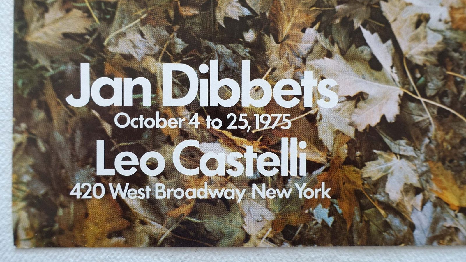 1975 Jan Dibbets At Leo Castelli Art Exhibition Poster   Original Vintage Poster photo for sale