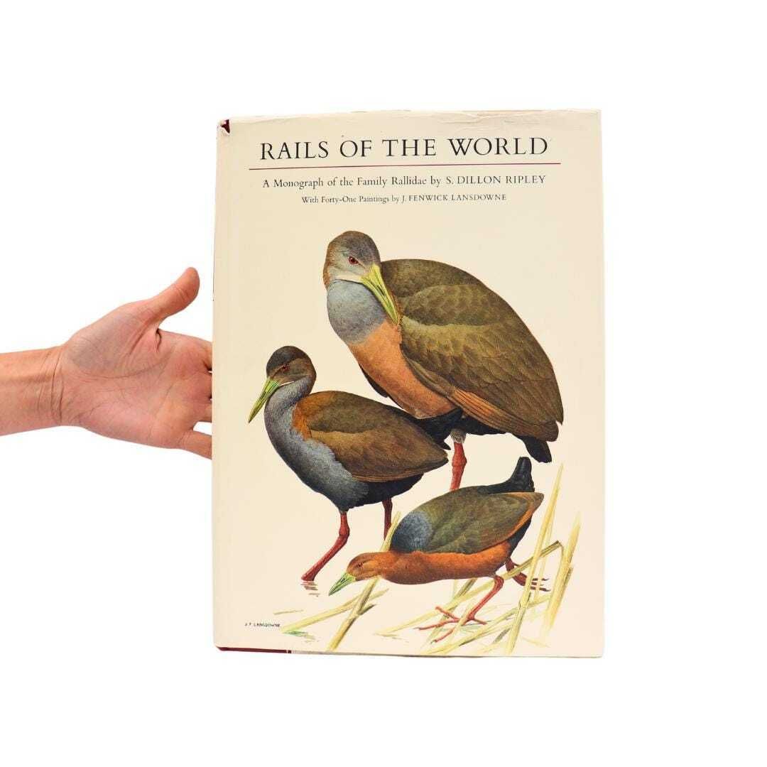 Mid Century Coffee Table Book About Birds  Rails Of The World  By S. Dillon Ripley  1977 Rallidae, Large Retro Ornithology Book