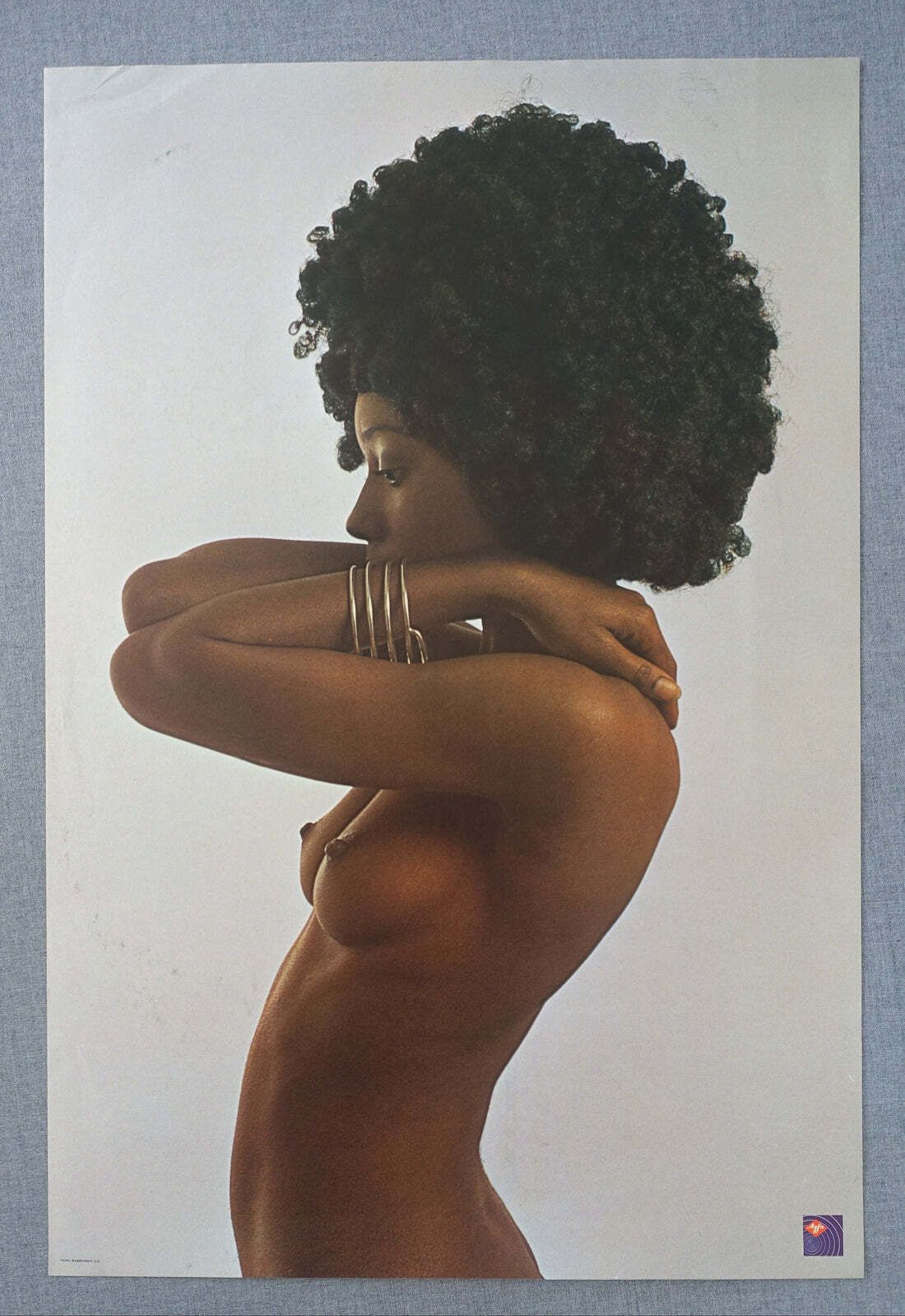 1970s Agfa Film Advertisement   Original Vintage Poster photo furniture