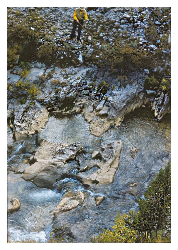 Toni Frissell 'Sports Fishing In Wyoming' Unframed Archival Pigment Print photo furniture
