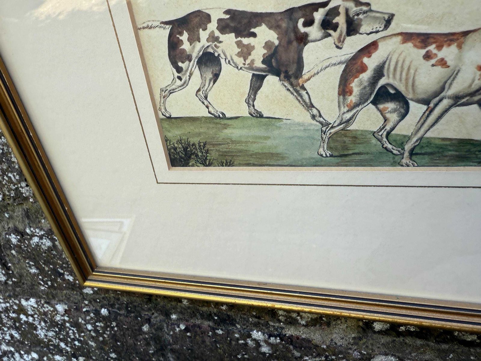 Vintage Framed British Sporting Dog Print, To Ho! Pair Of English Foxhounds Illustration By Barbara Farren C 1890, Traditional Country Decor photo Art