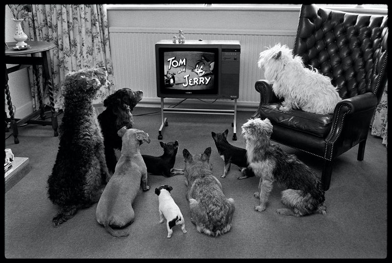 Arthur Steel 'Captivated Audience' Unframed Silver Gelatin Fibre Print