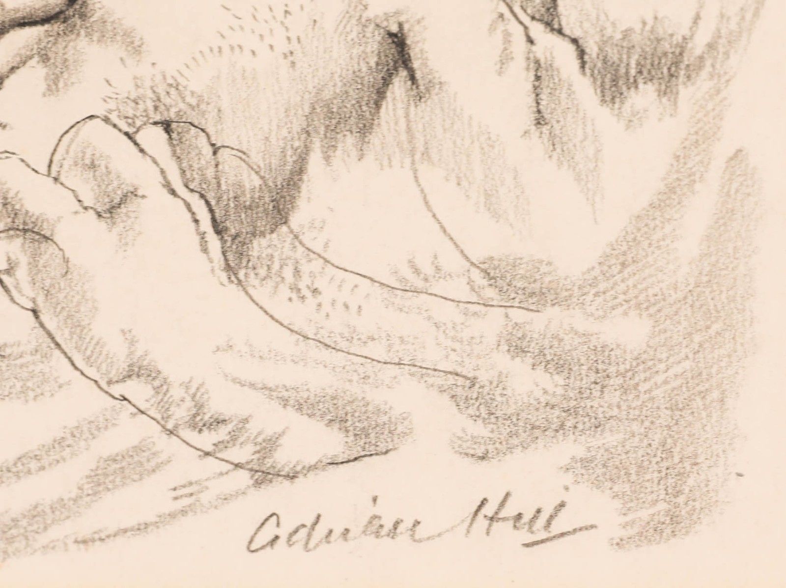 Adrian Hill Proi Rba (1895 1977) Graphite Drawing, Mountain Grip photo vinterior