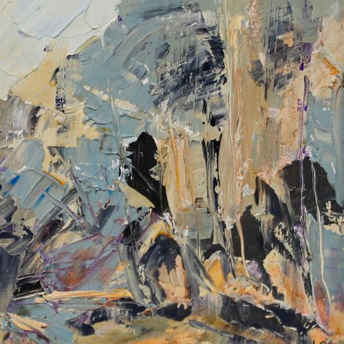 Barbara Goolden Framed Contemporary Oil, The Garden, Gregynog photo 265.0