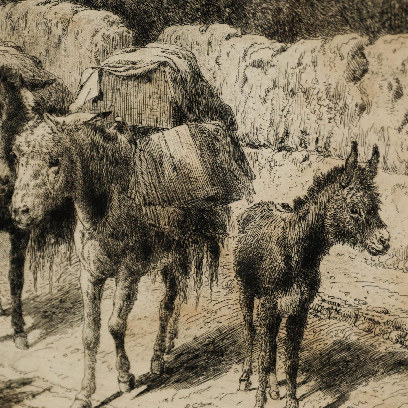 Peter Moran (1841 1914) Framed Etching, On The Road To Santa Fe photo Art
