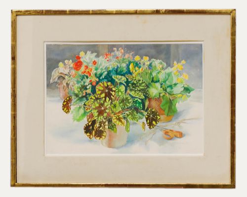 Catherine Dean (1905 1983) Framed 20th Century Watercolour, Potted Begonia
