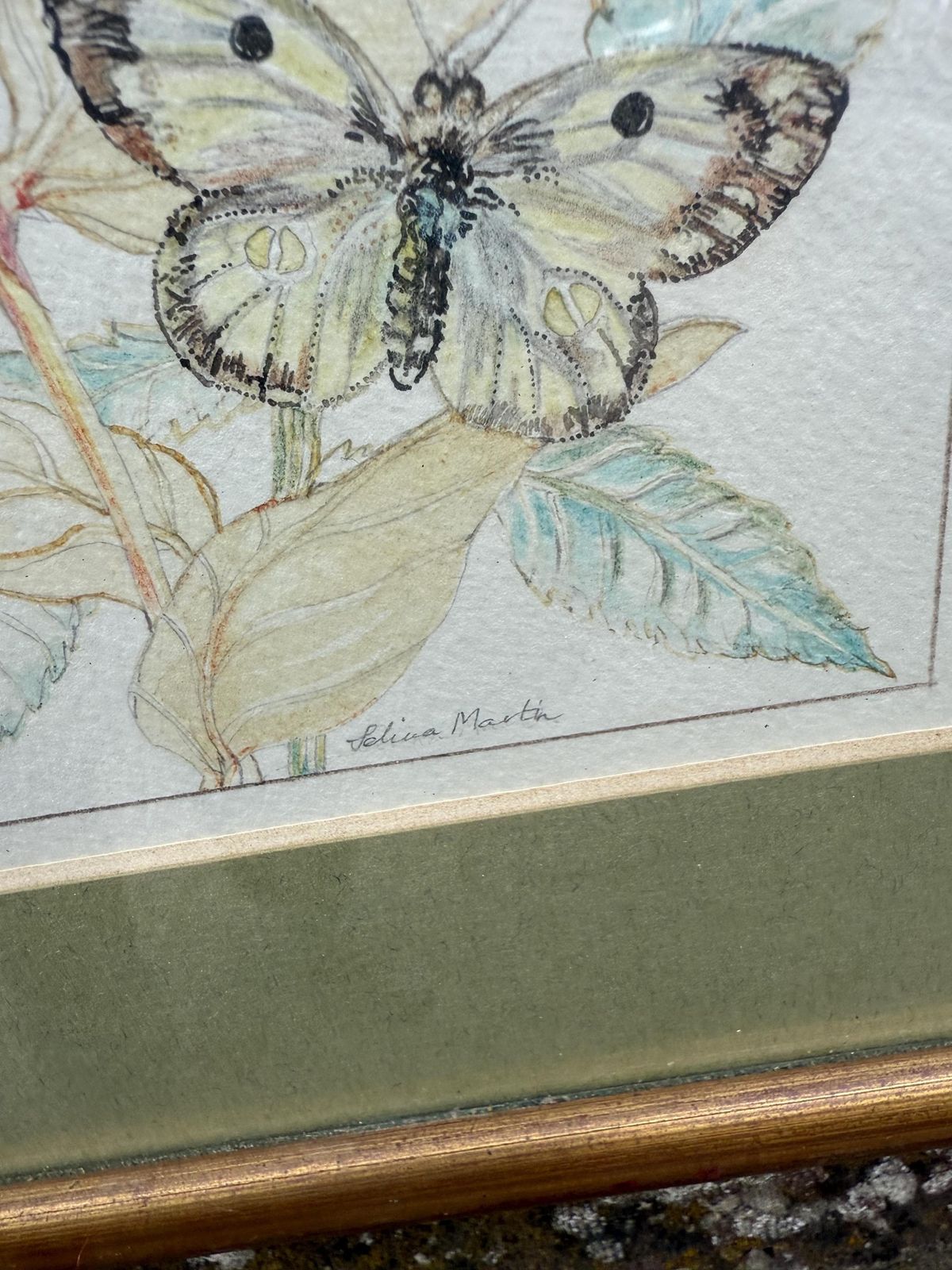 Vintage Botanical Watercolour, Rose Of Sharon, By Selina Martin – Framed Floral And Butterfly Illustration, Nature Inspired Wall Art photo Art