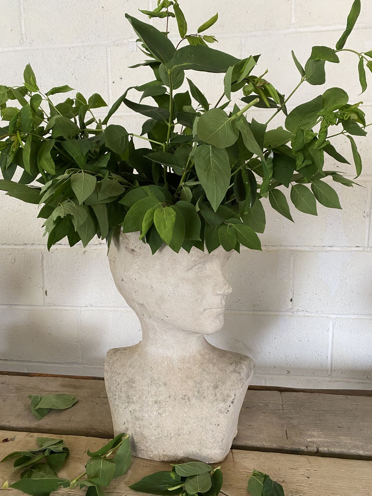 A Garden Sculpture Of Head.