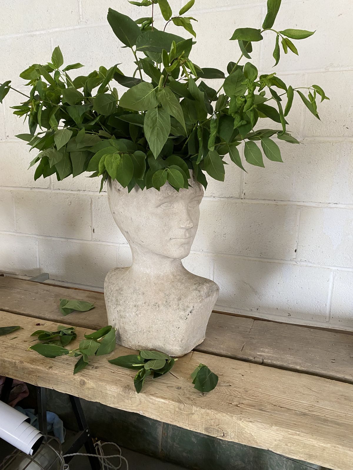 A Garden Sculpture Of Head. photo furniture