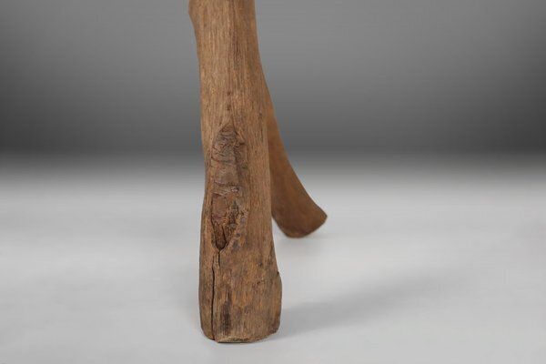 Rustic Tree Trunk Bench, 1850s photo buy