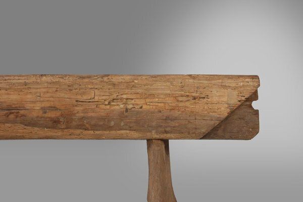 Rustic Tree Trunk Bench, 1850s photo vintage