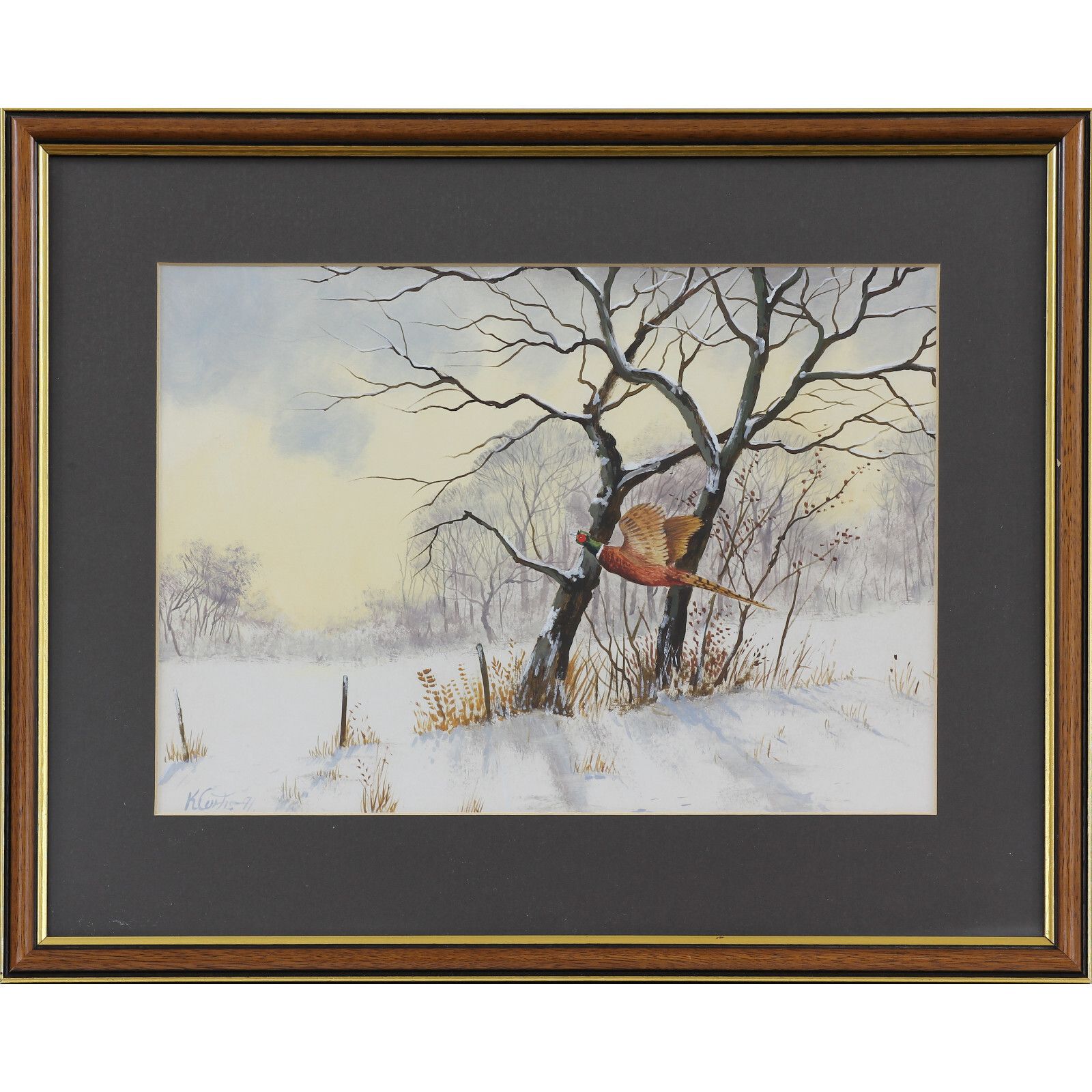 Acrylic Behind Glass By Kevin Curtis. Cock Pheasant In Flight