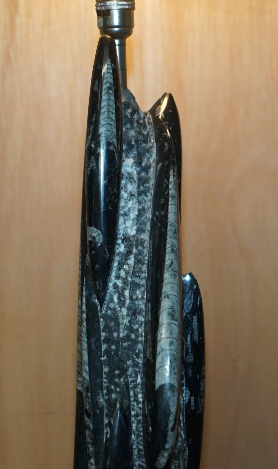 Rare & Large 395 Million Year Old Fossilized Orthoceras Marble Finish Table Lamp photo for sale