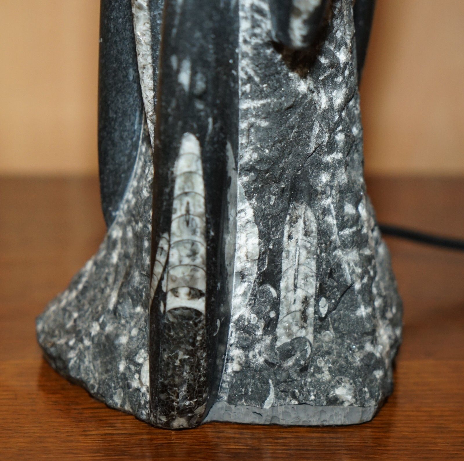 Rare & Large 395 Million Year Old Fossilized Orthoceras Marble Finish Table Lamp photo 1350.0