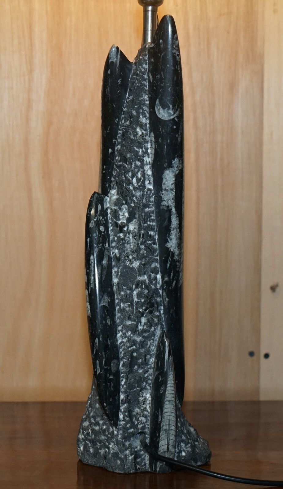 photo vinterior Rare & Large 395 Million Year Old Fossilized Orthoceras Marble Finish Table Lamp