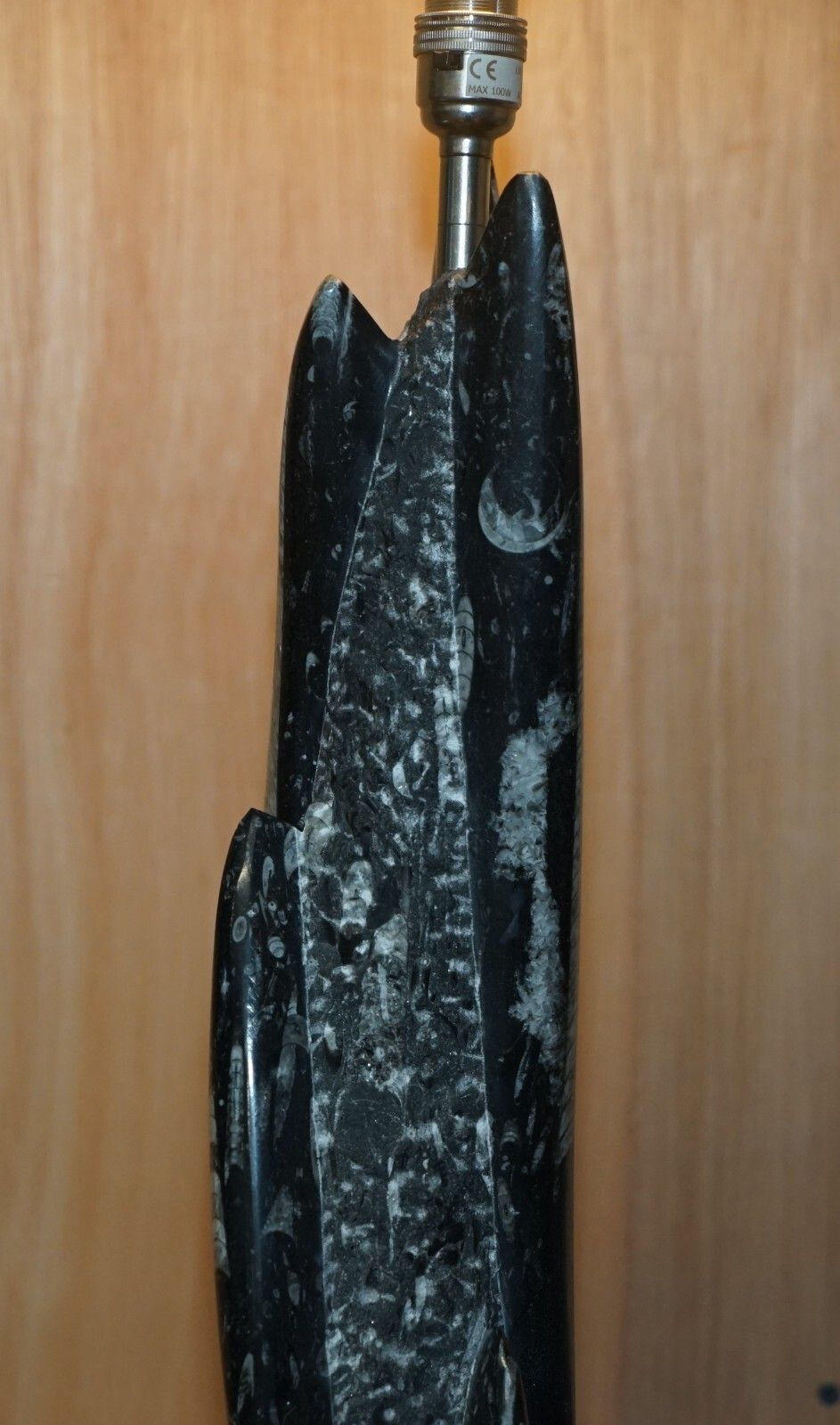 photo buy Rare & Large 395 Million Year Old Fossilized Orthoceras Marble Finish Table Lamp