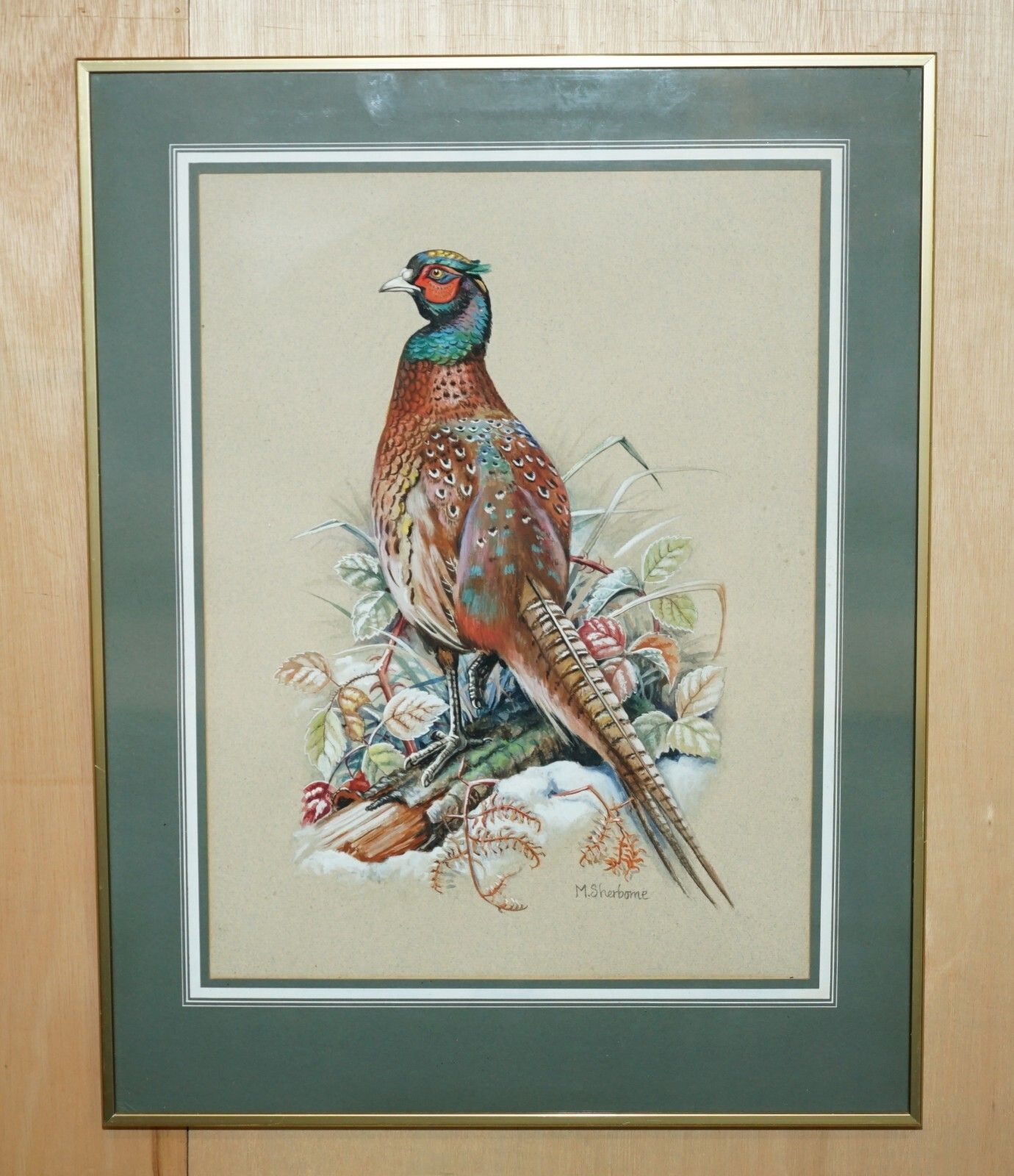Vintage M Shermorne Signed Ornithology Watercolour Painting Of A Pheasant Bird