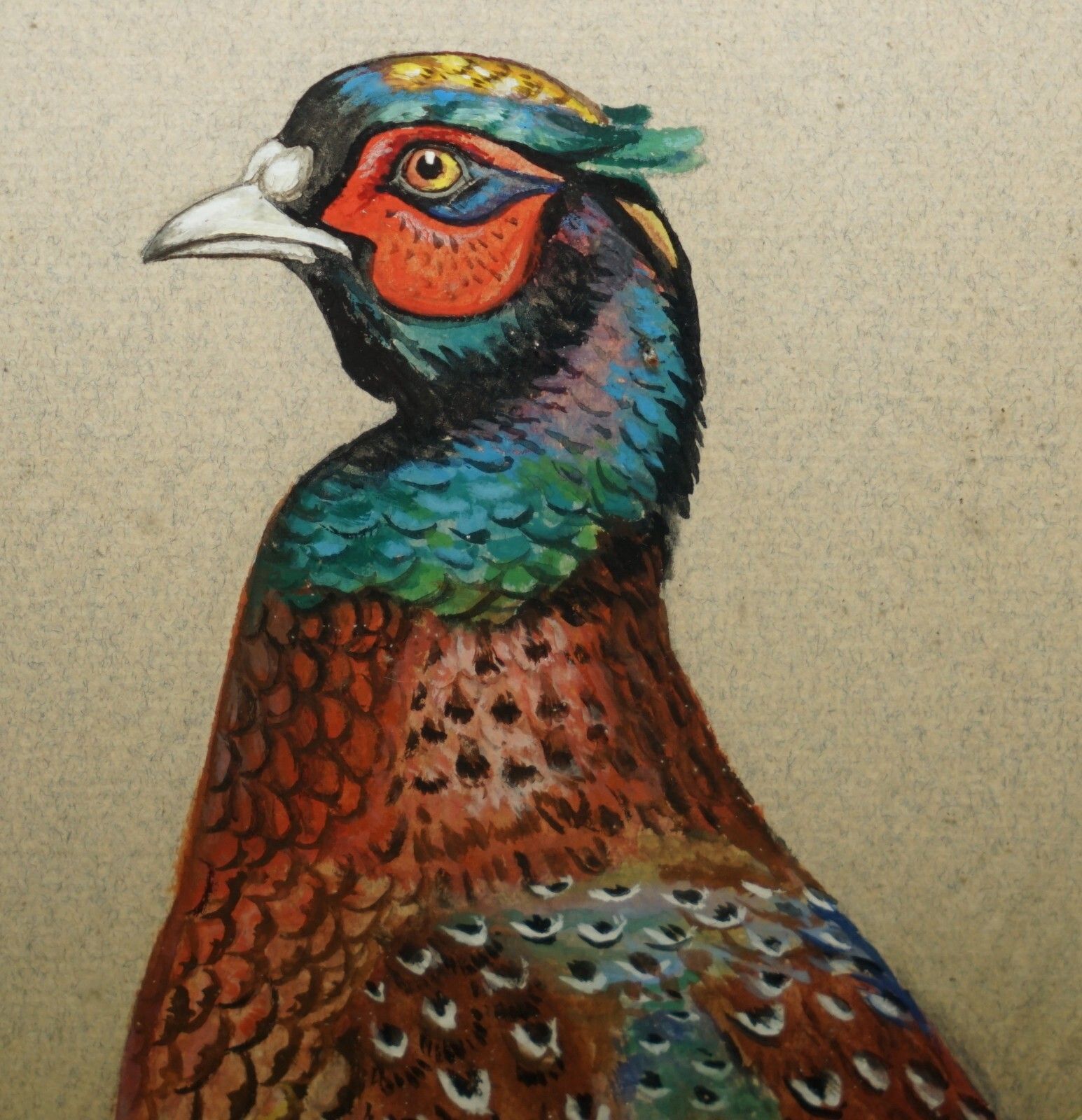 Vintage M Shermorne Signed Ornithology Watercolour Painting Of A Pheasant Bird photo for sale