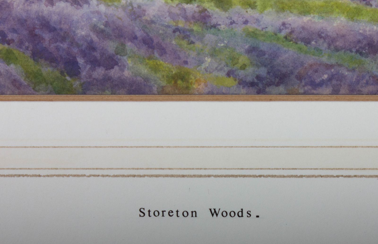 J. L. Barker   Early 20th Century Watercolour, Shoreton Woods photo 88.0