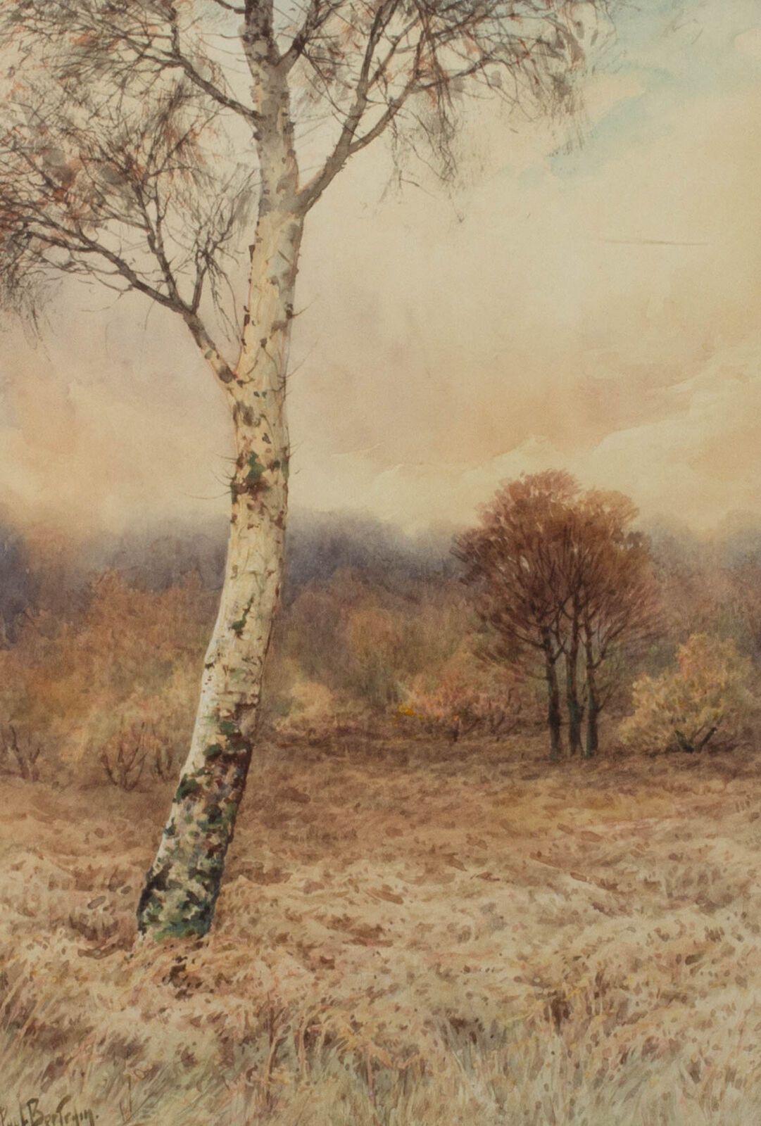Paul Bertram (1868 1951)   Early 20th Century Watercolour, Silver Birch photo furniture