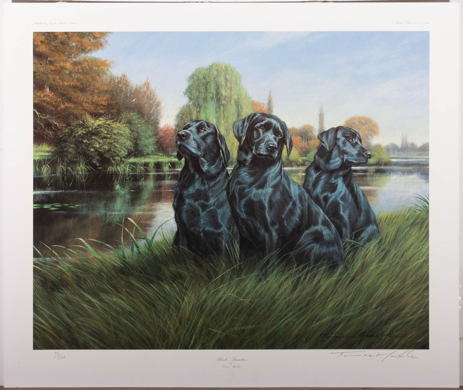 Terence Macklin   20th Century Digital Print, Black Beauties photo furniture