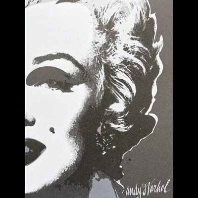 Andy Warhol – Diamond Dust Vermilion photo Art
