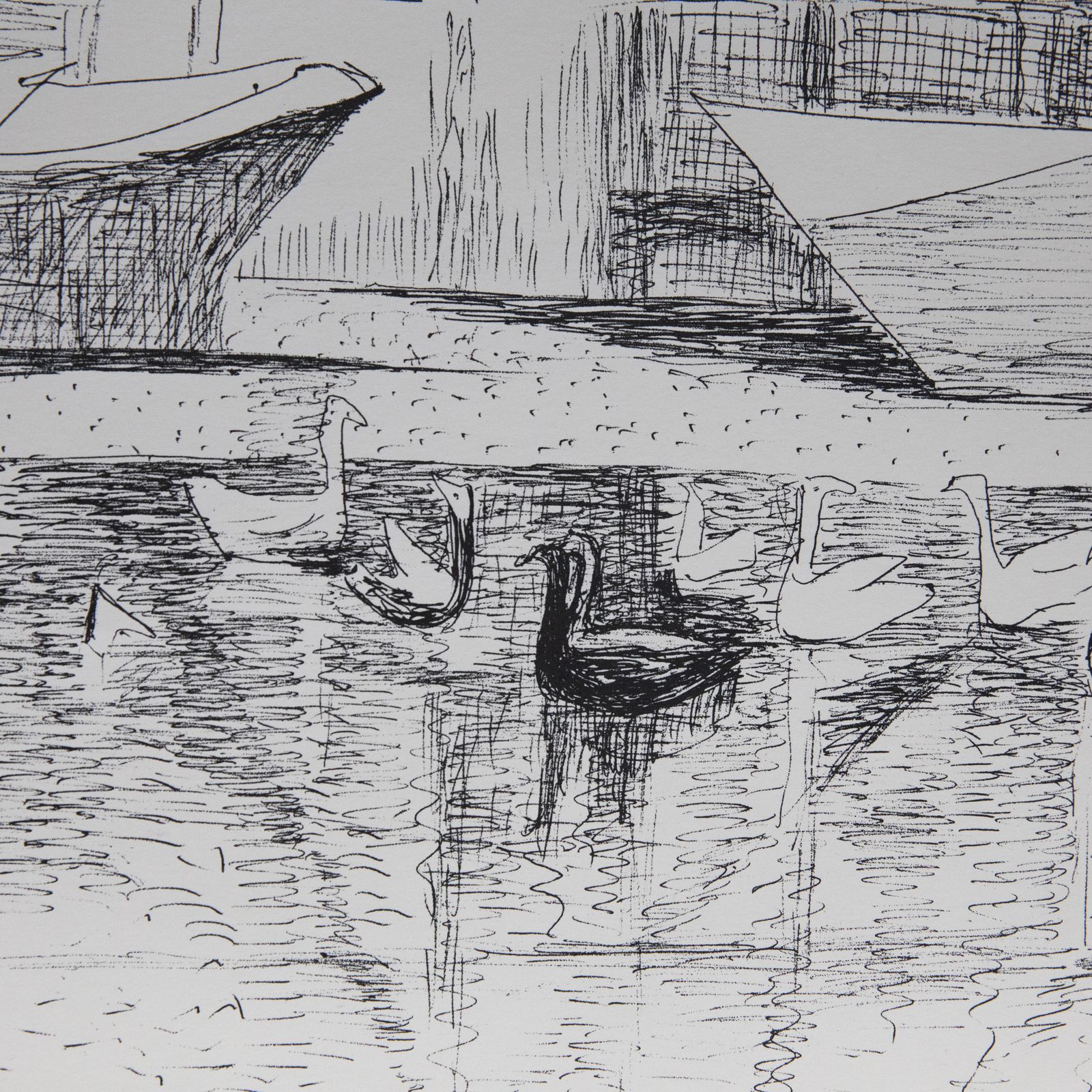 M. S.   South African Achool 20th Century Lithograph, Watching Swans photo for sale