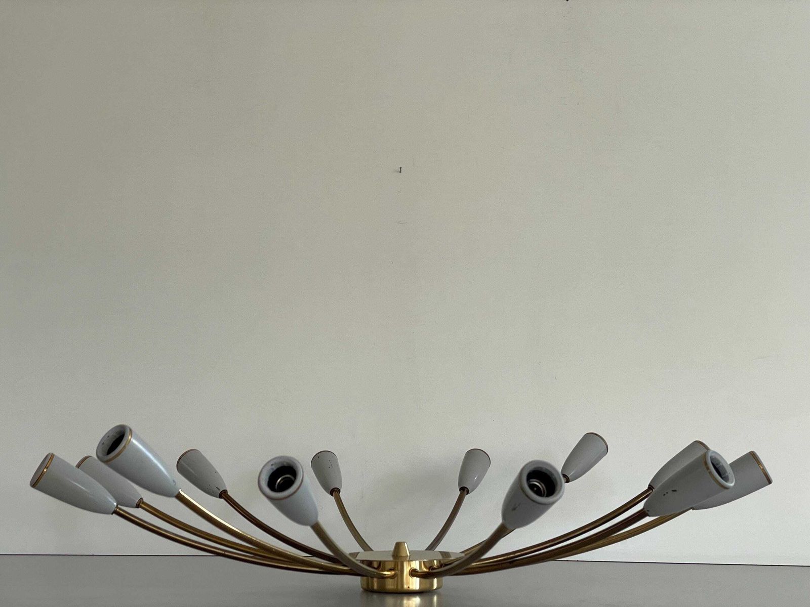 Mid Century Gray Metal And Brass Body 12 Armed Sputnik Ceiling Lamp, 1950s, Germany photo for sale
