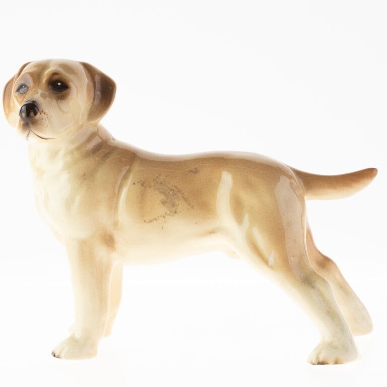 Mid Century English Porcelain Ceramic Dog Figure