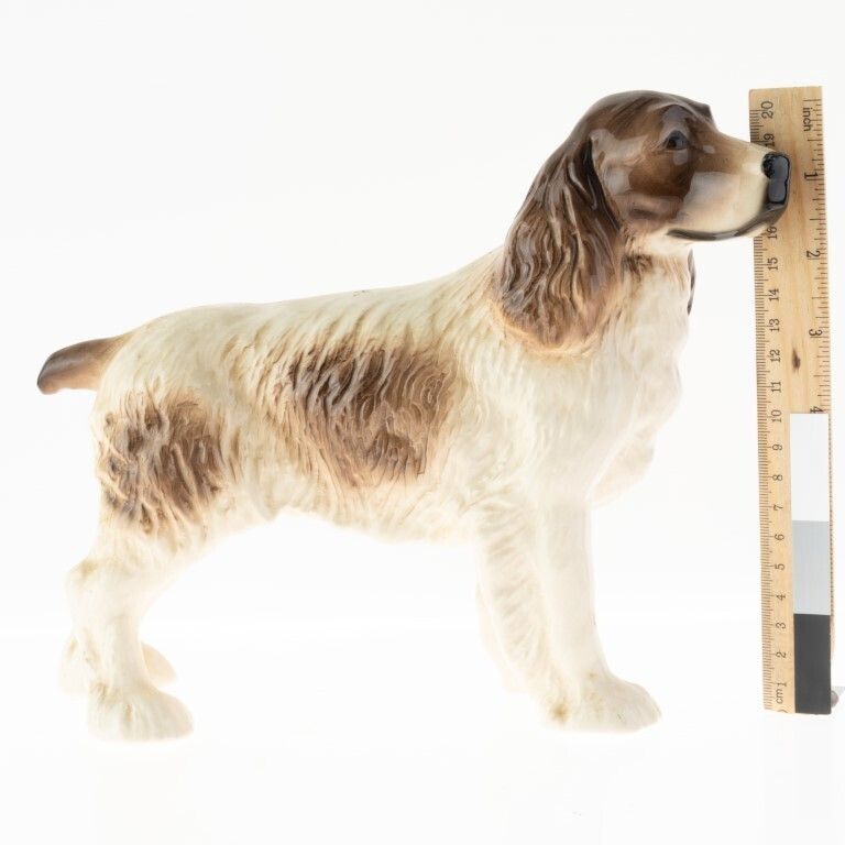 Mid Century English Ceramic Porcelain Pottery Dog Figure photo for sale