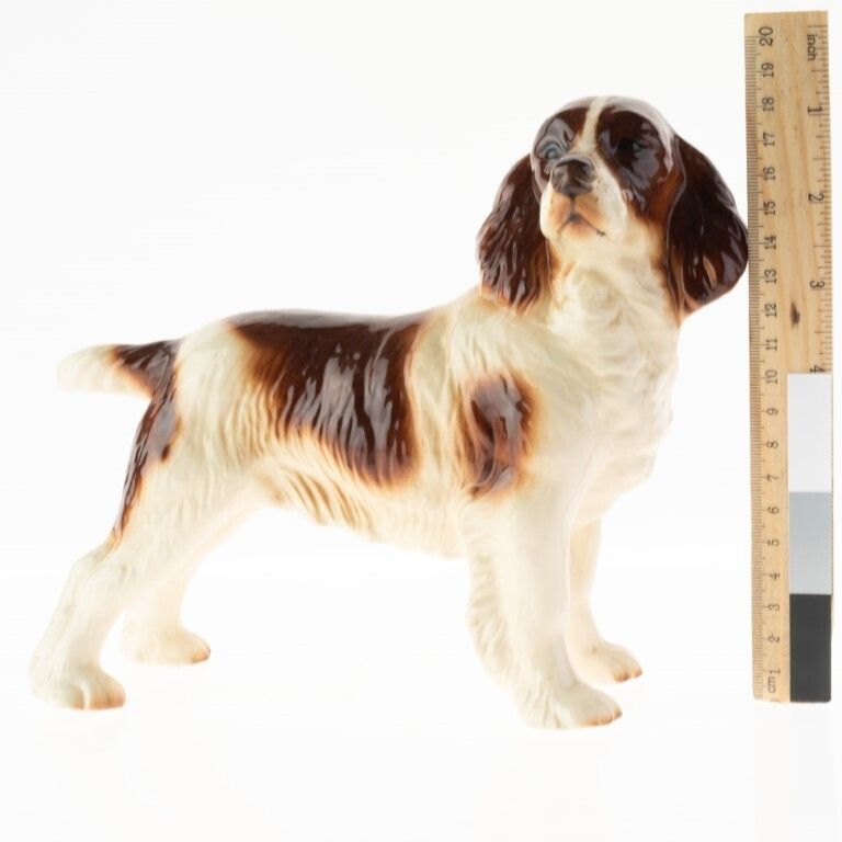 Mid Century English Ceramic Porcelain Pottery Dog Figure photo for sale