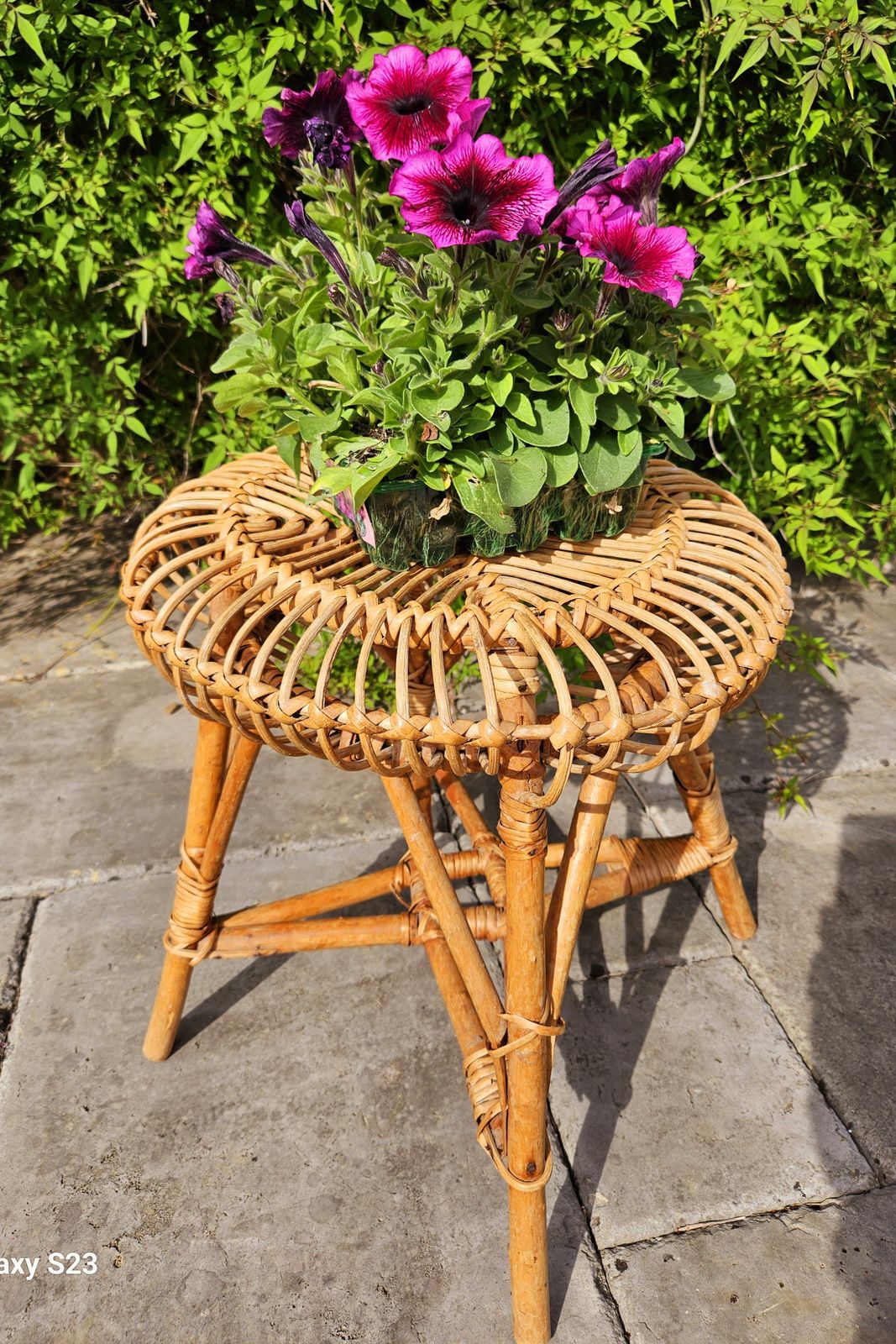 Iconic 1960's Italian Bamboo & Wicker Stool By Franco Albini For Bonacina