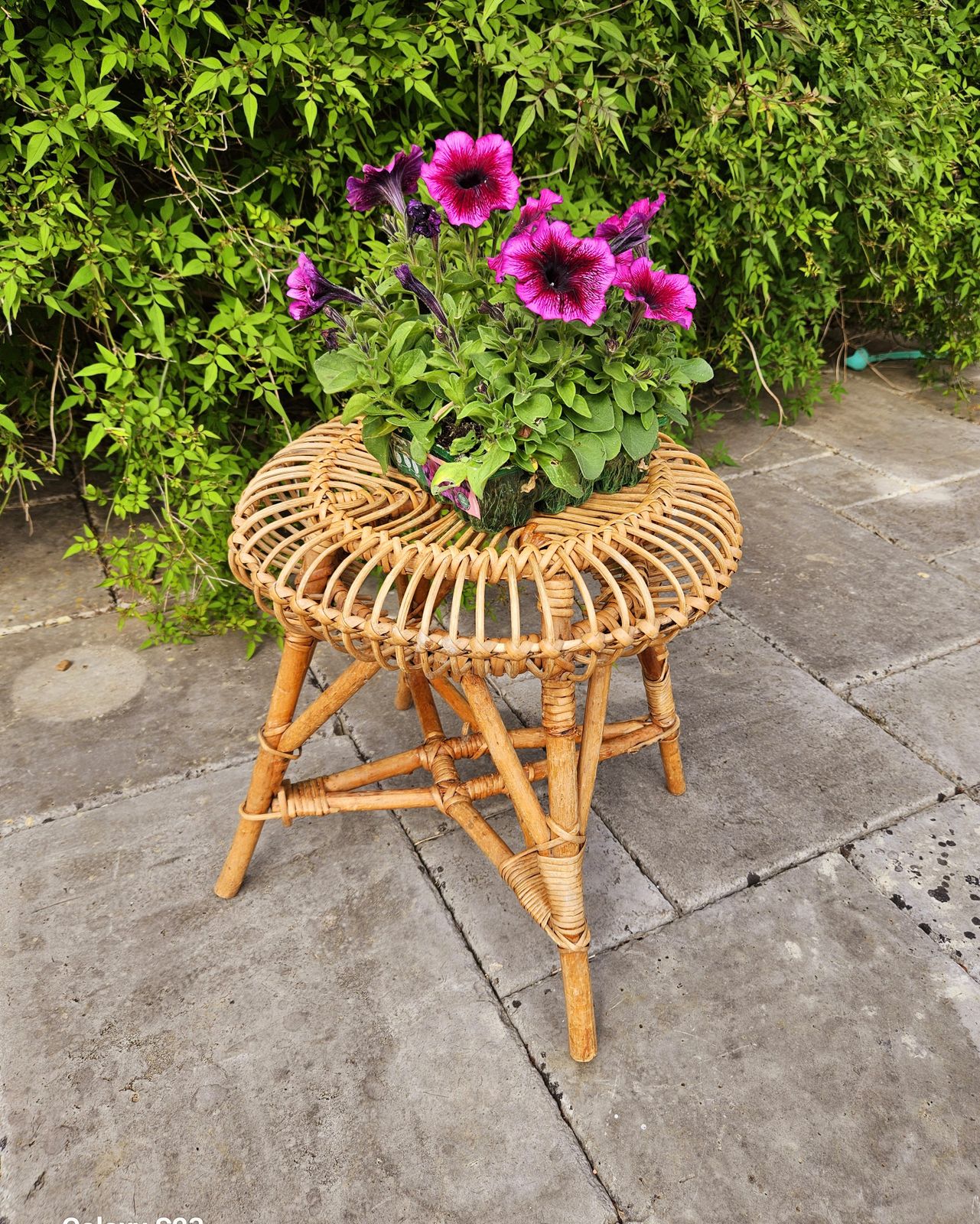 Iconic 1960's Italian Bamboo & Wicker Stool By Franco Albini For Bonacina photo Furniture