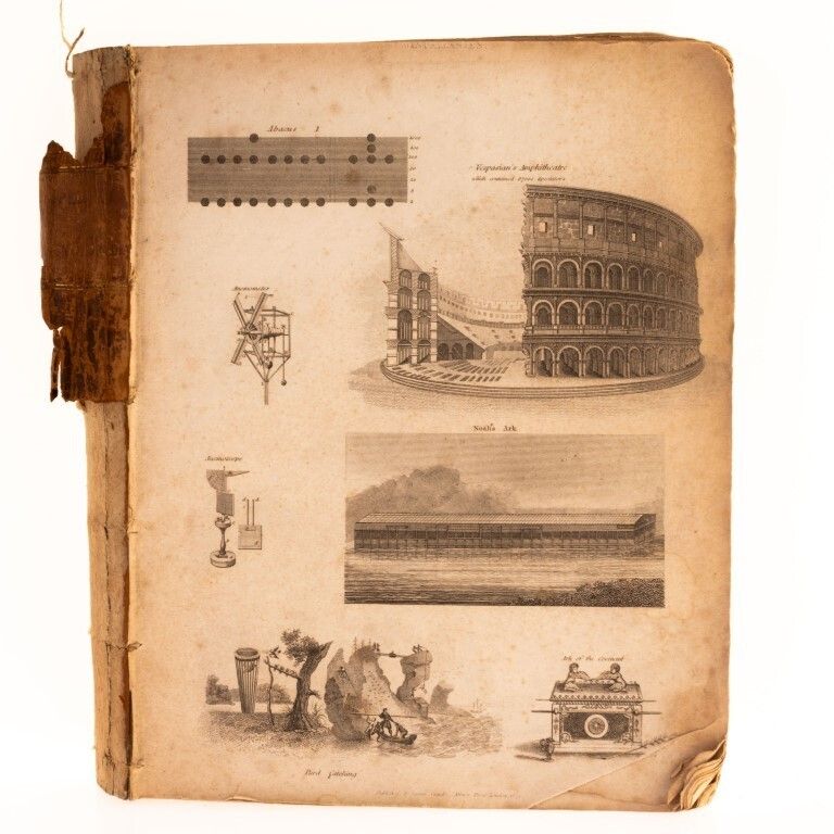Antique Mid 19th Century Book Of Lithographs Including Ornithology photo 85.0