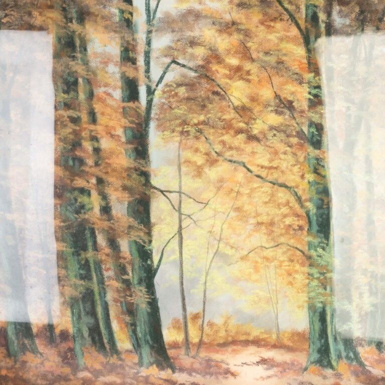Autumn Wooded Landscape Pastel Painting Signed A Derzelle photo for sale