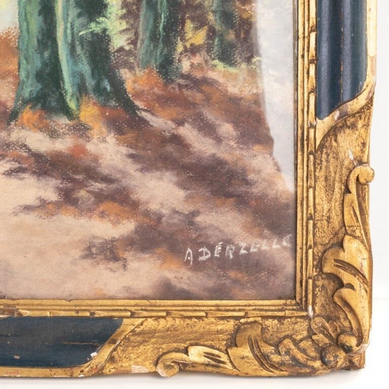 Autumn Wooded Landscape Pastel Painting Signed A Derzelle photo Art