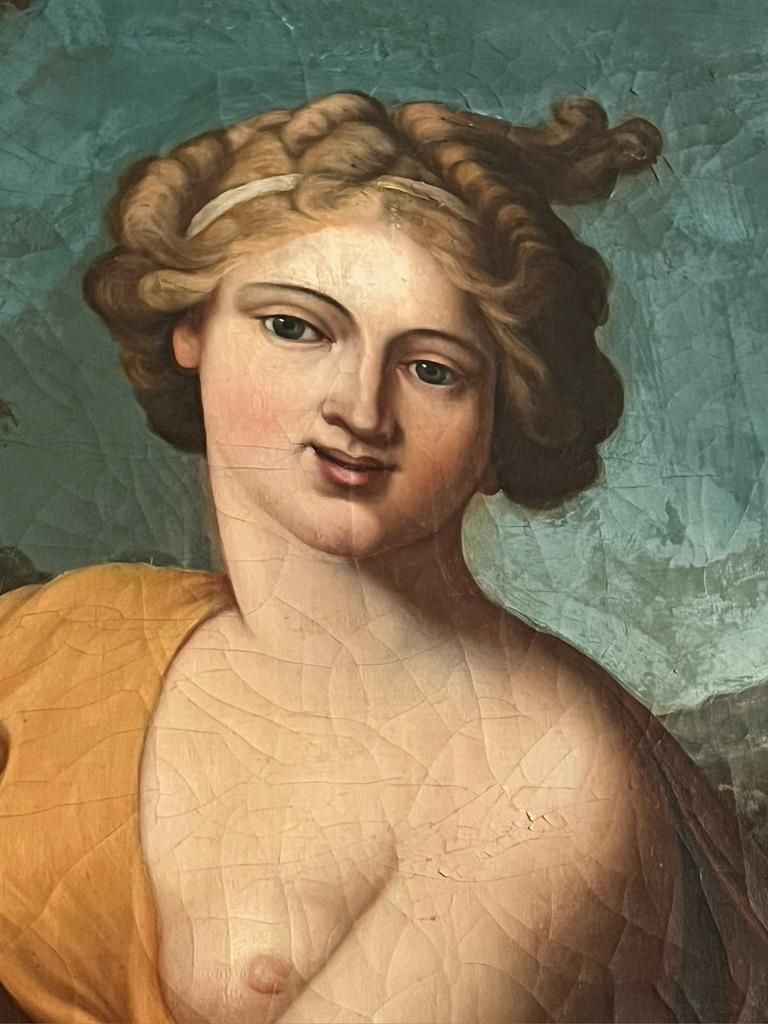 photo for sale Portrait Of A Lady As Pomona Budapest, Circa 1810